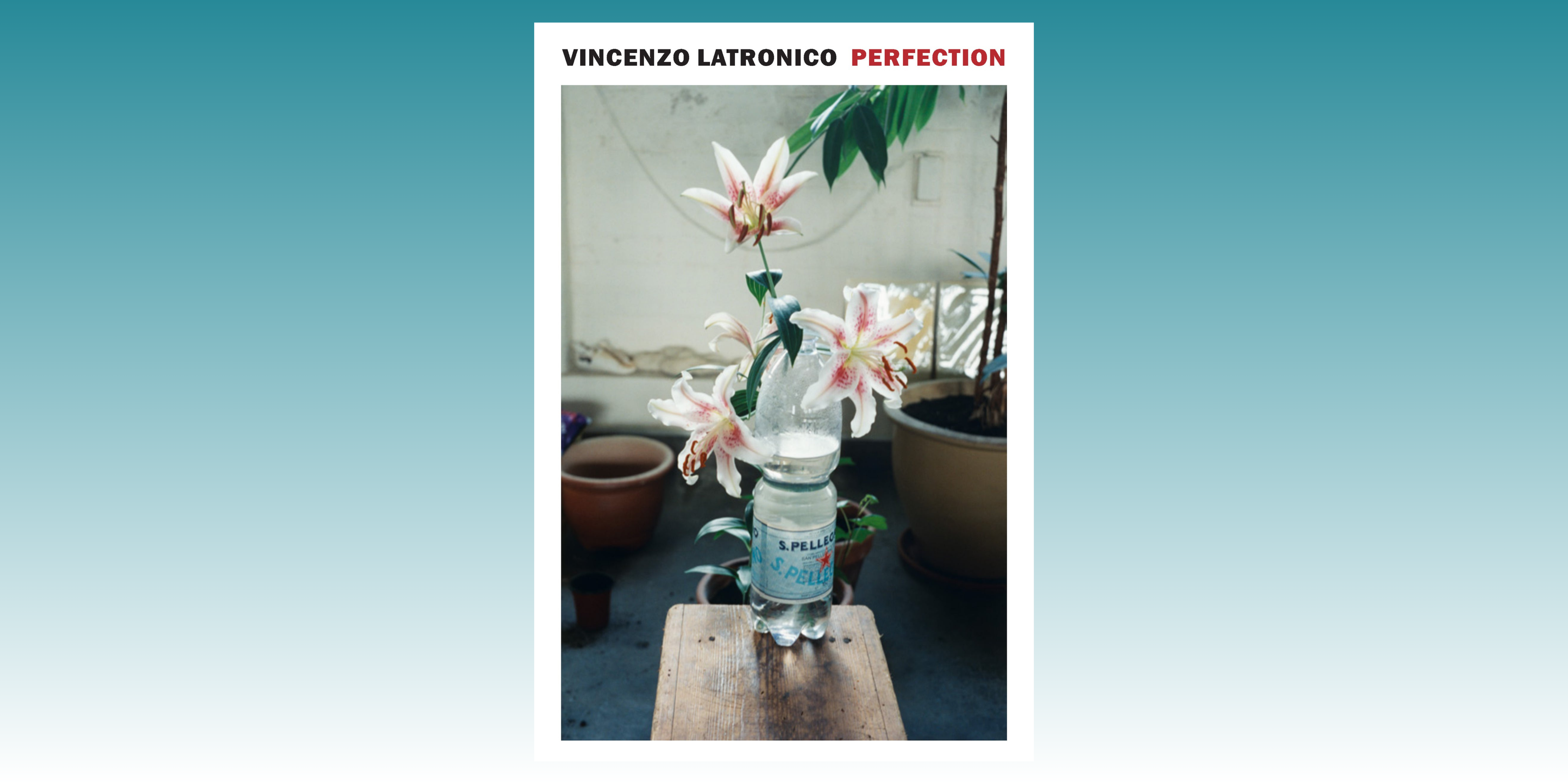 Perfection by Vincenzo Latronico